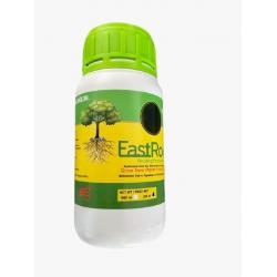 East Root® iba çözelti 250 cc 2000ppm Kullanıma Hazır hormon